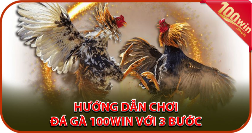 Hướng dẫn chơi đá gà 100win chỉ với 3 bước